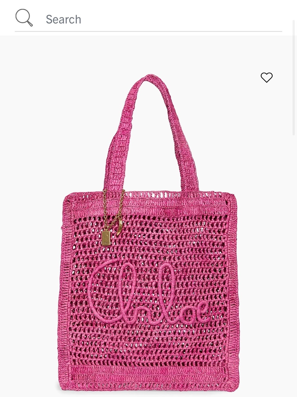 Chloe summer bag